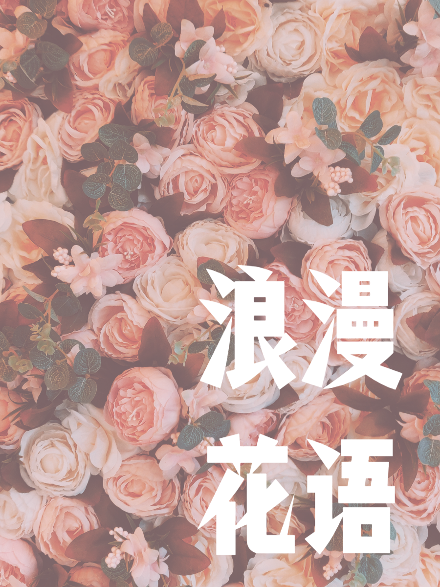 国风字体